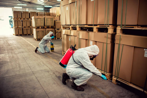 Best Wasp Removal Services  in Newport, OH