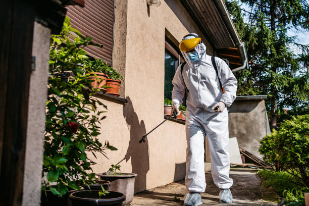 Best Affordable Pest Control Services  in Newport, OH