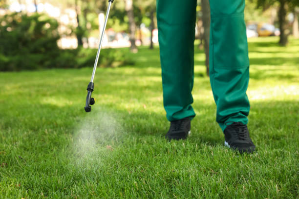 Best Best Pest Control Companies  in Newport, OH