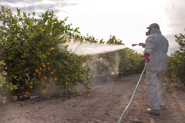 Best Pest Prevention Services  in Newport, OH