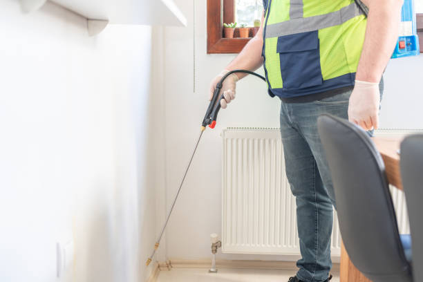 Best Ant Control Services  in Newport, OH