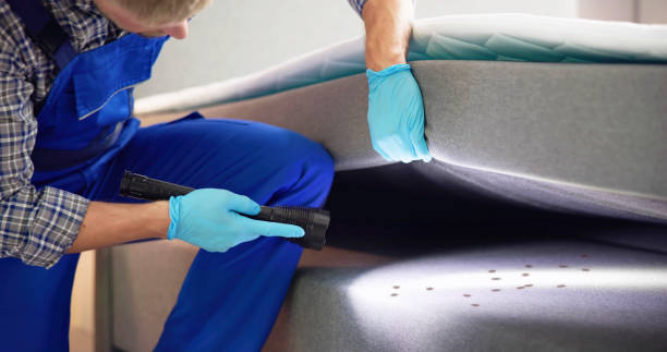 Best Local Pest Control Services  in Newport, OH