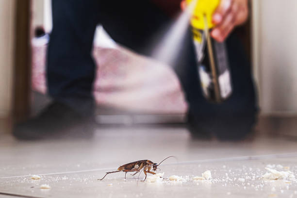 Best Emergency Pest Control  in Newport, OH