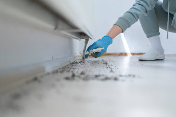 Best Commercial Pest Control Services  in Newport, OH