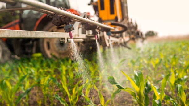Best Pest Control for Homes  in Newport, OH